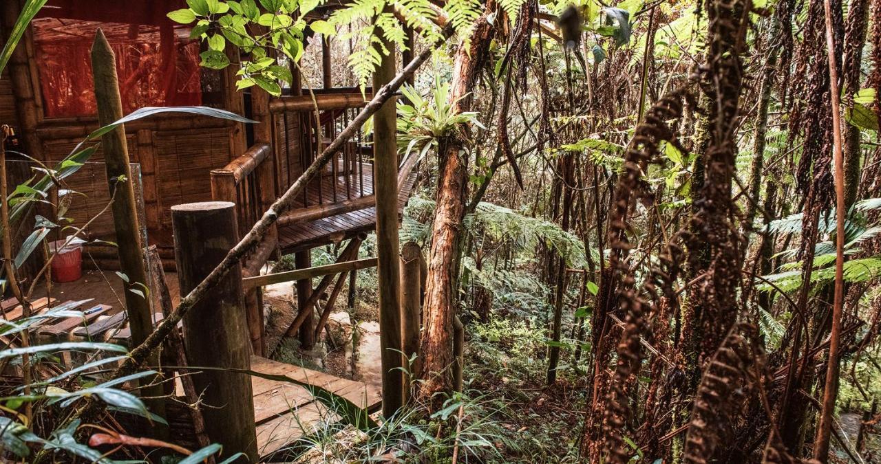 Hotel Guatape Adrianas Bambu المظهر الخارجي الصورة