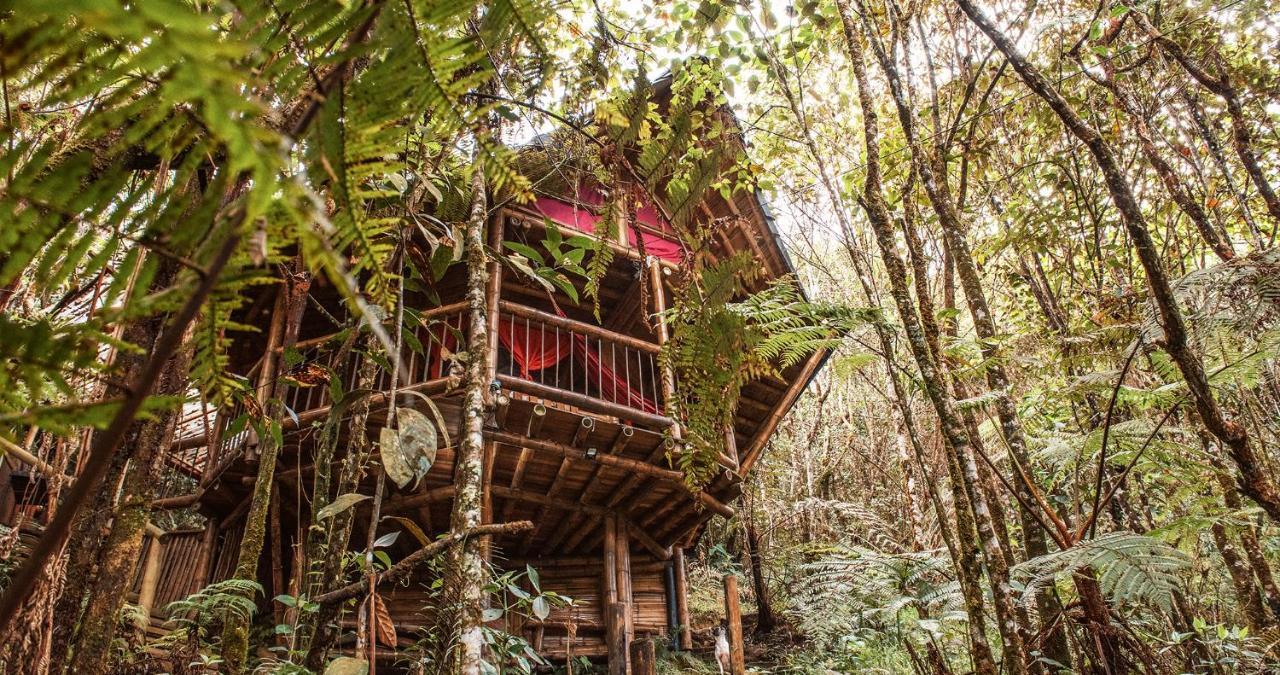Hotel Guatape Adrianas Bambu المظهر الخارجي الصورة