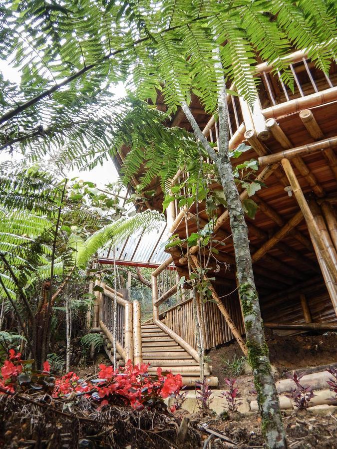 Hotel Guatape Adrianas Bambu المظهر الخارجي الصورة