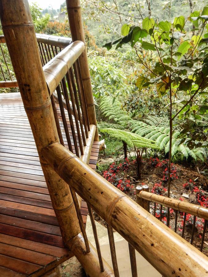 Hotel Guatape Adrianas Bambu المظهر الخارجي الصورة