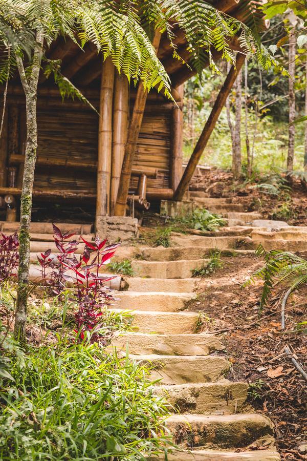 Hotel Guatape Adrianas Bambu المظهر الخارجي الصورة